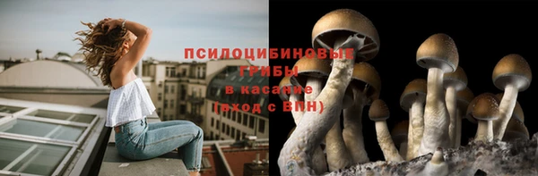 крисы Армянск