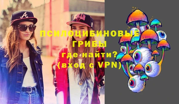 крисы Армянск