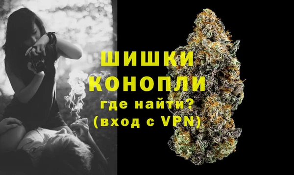 крисы Армянск