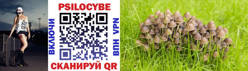 где можно купить наркотик  Асбест  OMG рабочий сайт  Псилоцибиновые грибы Magic Shrooms 